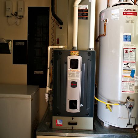 pull all the lines in this script that are attributed to WILLIAMINA and put them one line per line in a word doc?