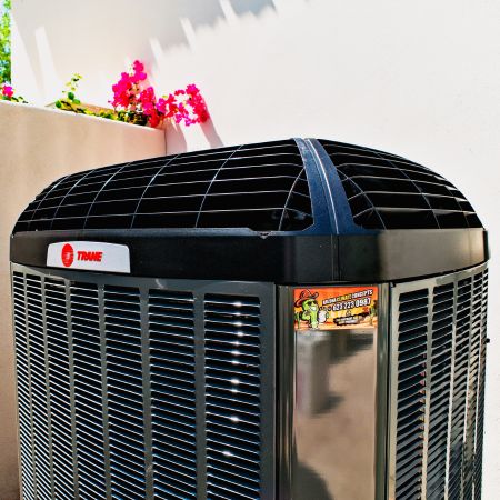 pull all the lines in this script that are attributed to WILLIAMINA and put them one line per line in a word doc?